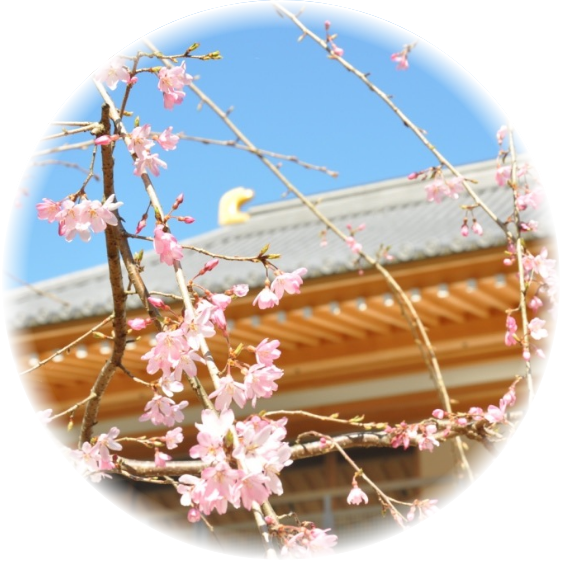 3月の行持