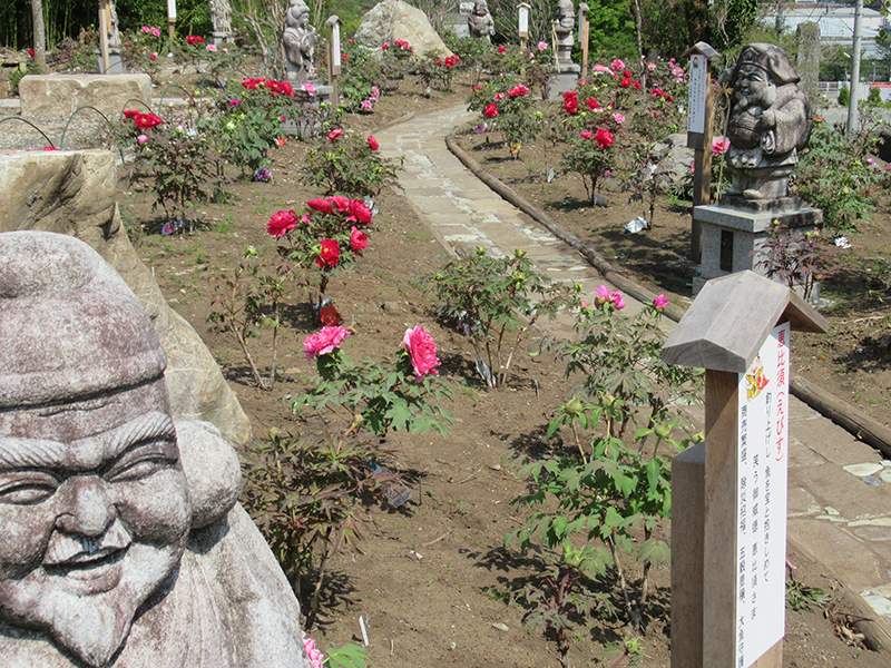 雲渓山 花七福神
