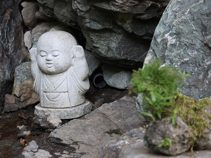 大地の声