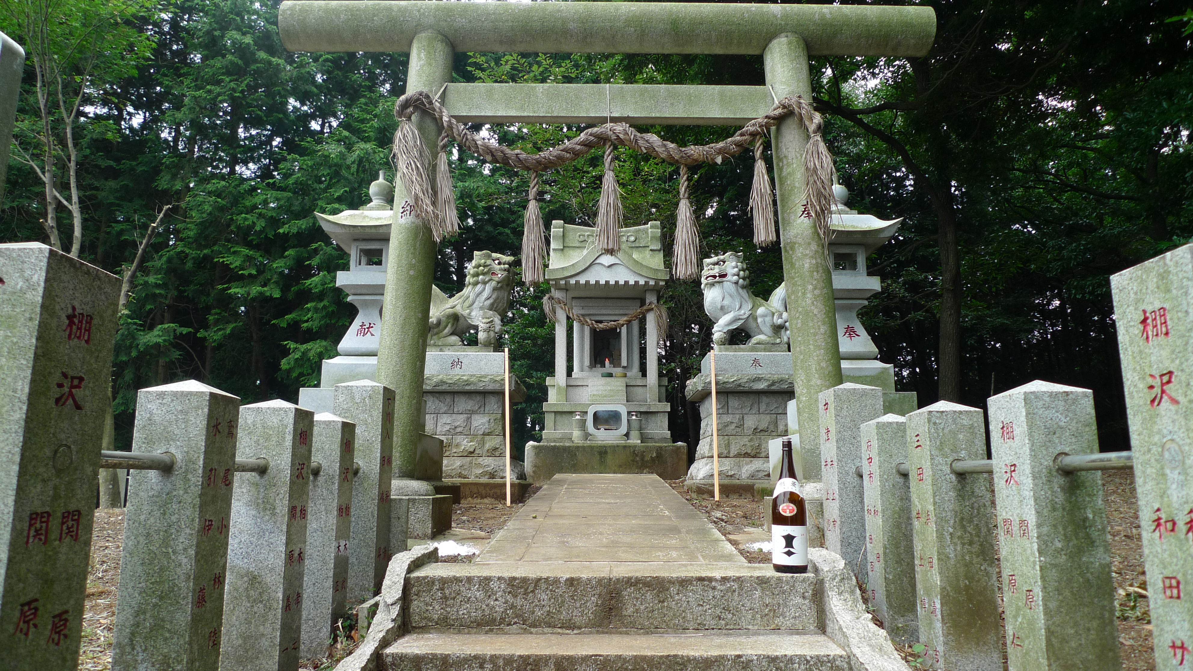 鳶尾山を背景とした寺域