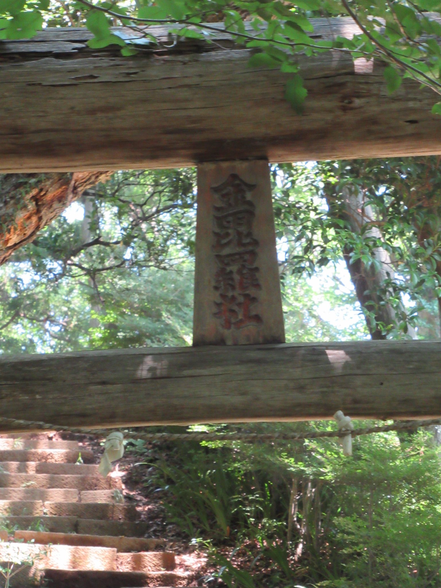 金毘羅山
